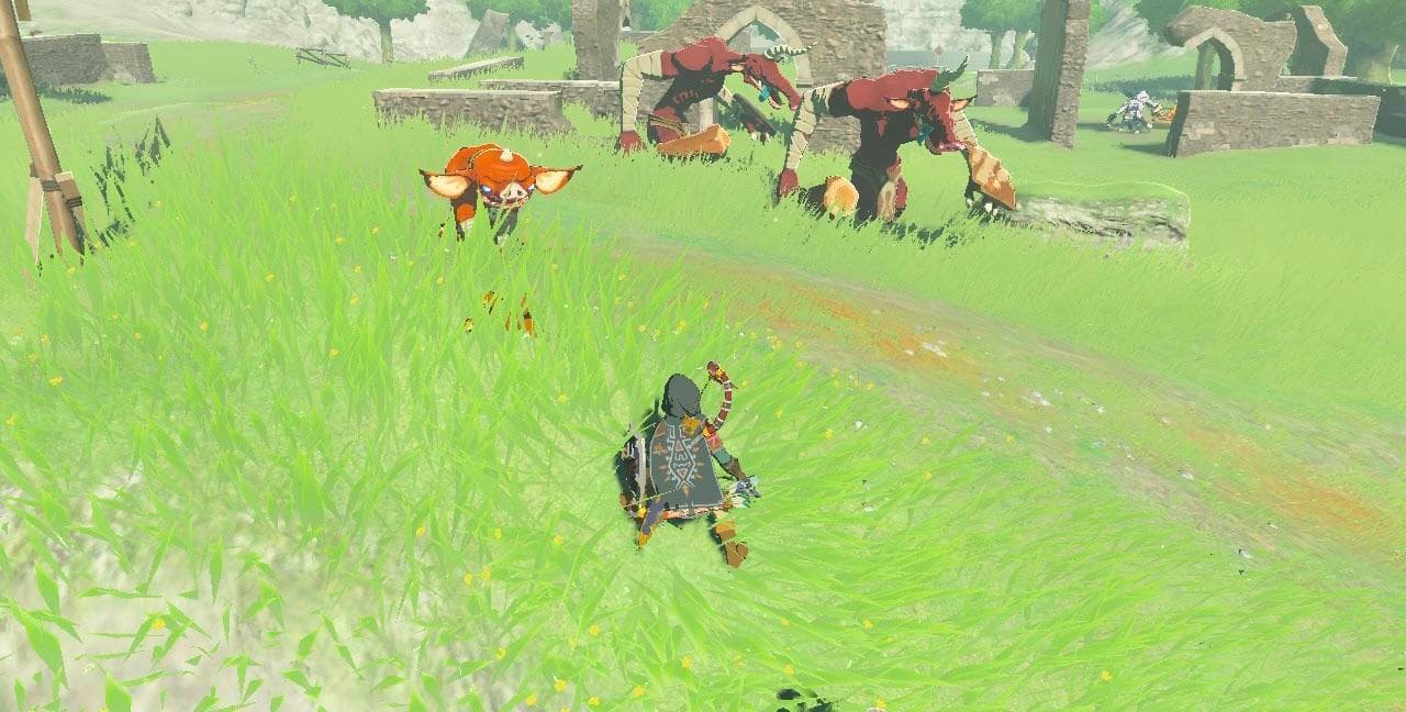 BOTW gameply